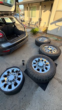 Denali stocks