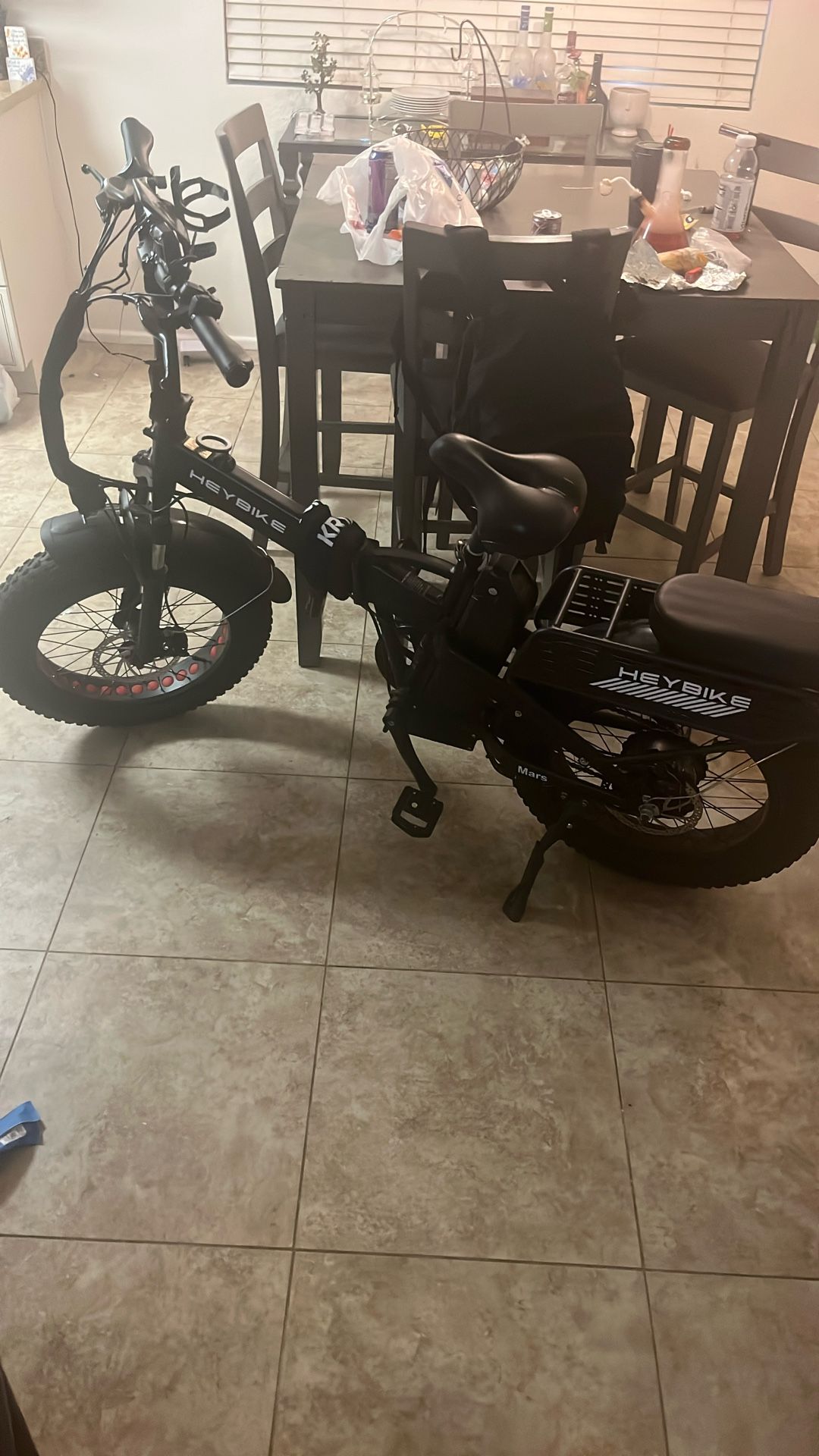 Electric Bike Fat Tires 
