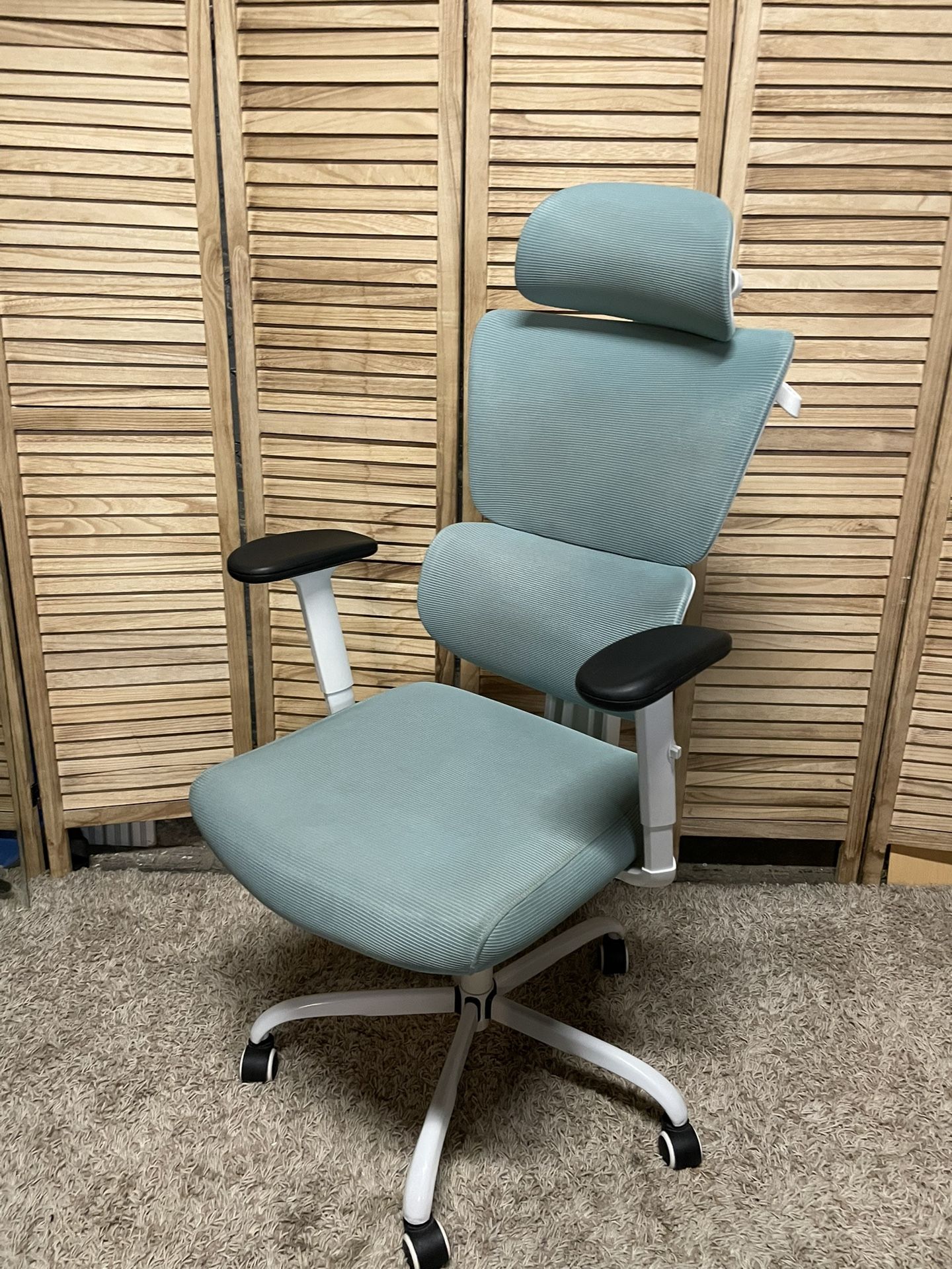 Ergonomic Office Chair
