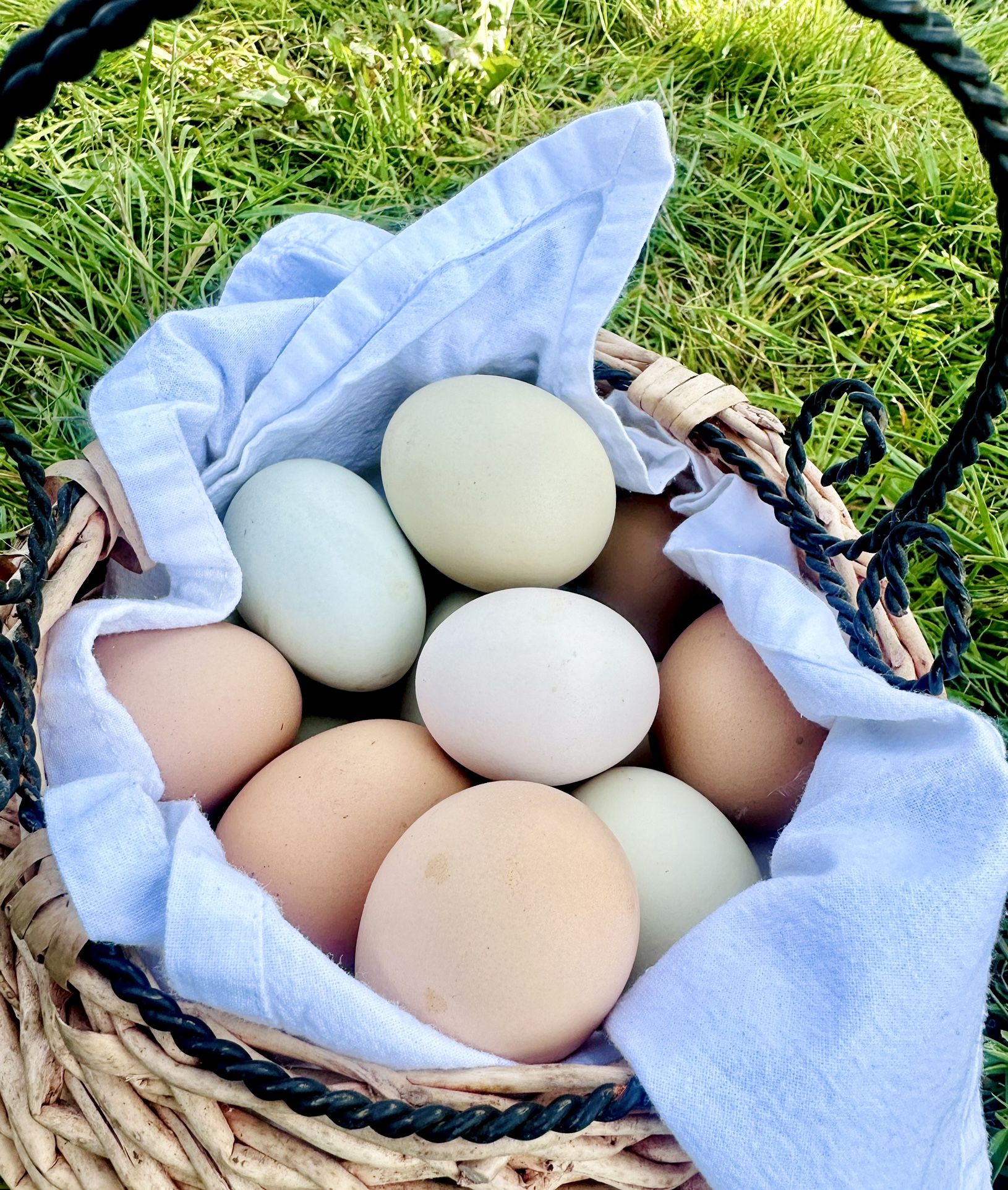 Farm Fresh Eggs