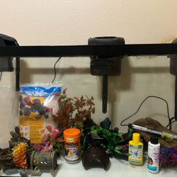 100$throughout and the fish tank