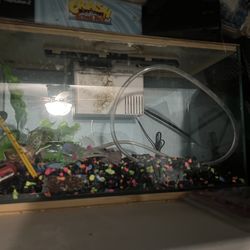 Fish tank