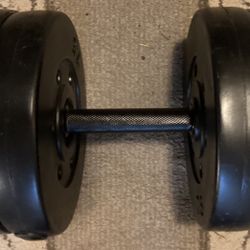 30 Pound Dumbbell 