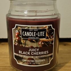4 Candle-Lite Candles 4 Different Scents 18oz