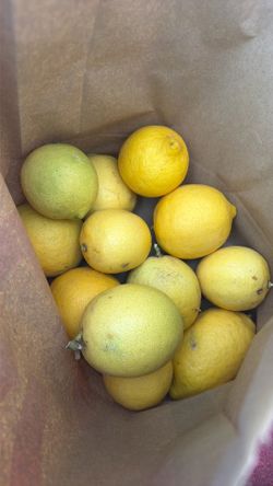 Organic Eureka Lemons