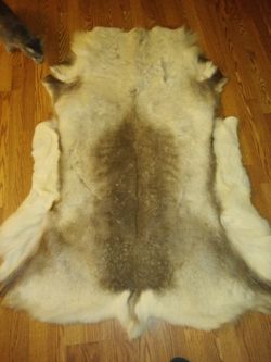Reindeer hide