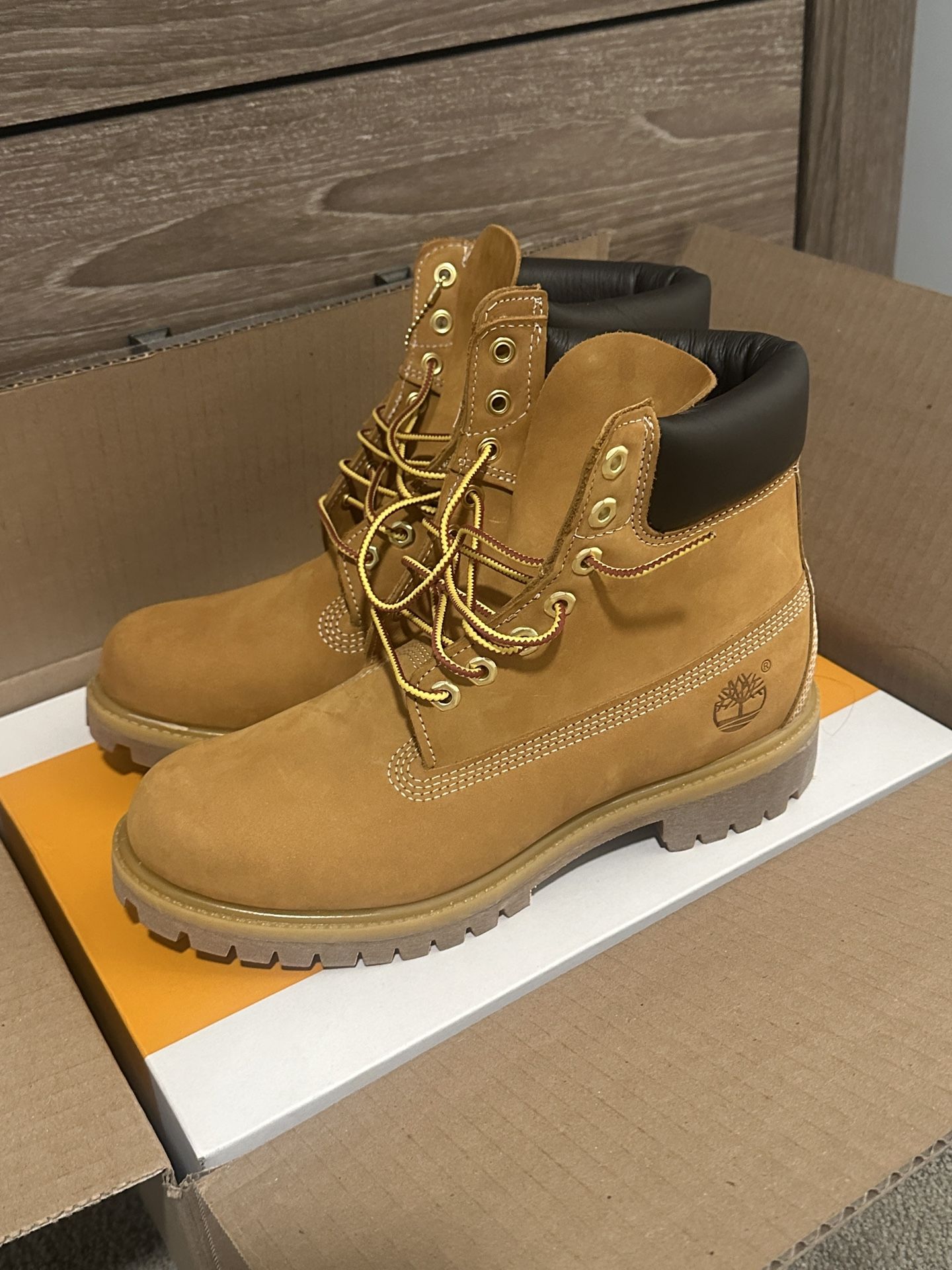 Timberland 6 inch Premium size 8.5