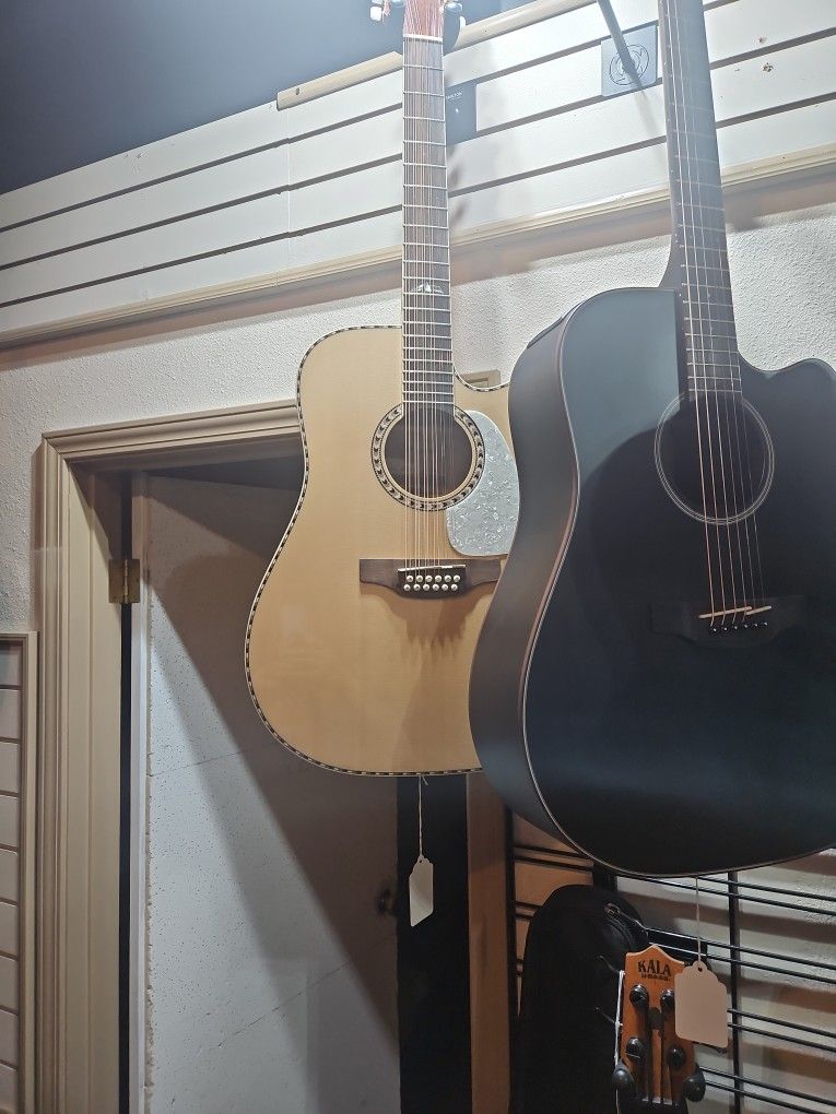 Takamine GD74CE12