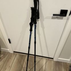 Lightweight Aircraft-Grade Aluminum Trekking Poles with Extended Down Grip Plus Tip Kit