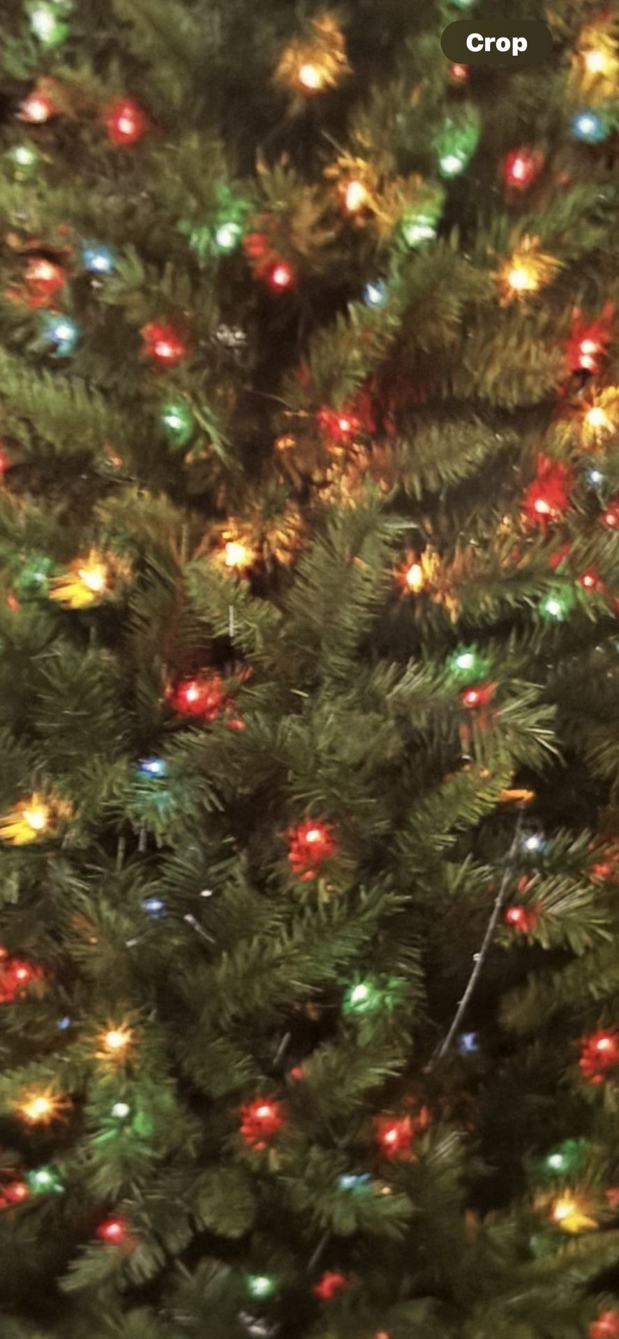 7.5 -Foot Pre-LiT Christmas Tree