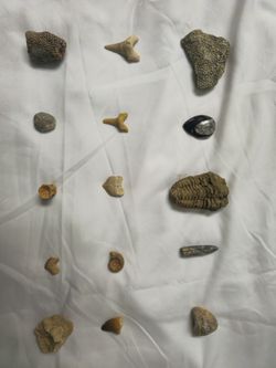 Fossil Gift Set