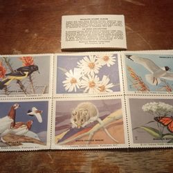 Vintage 4 Sets With 6 Each 1951 N.W.C STAMPS 24 TOTAL FOR SALE.