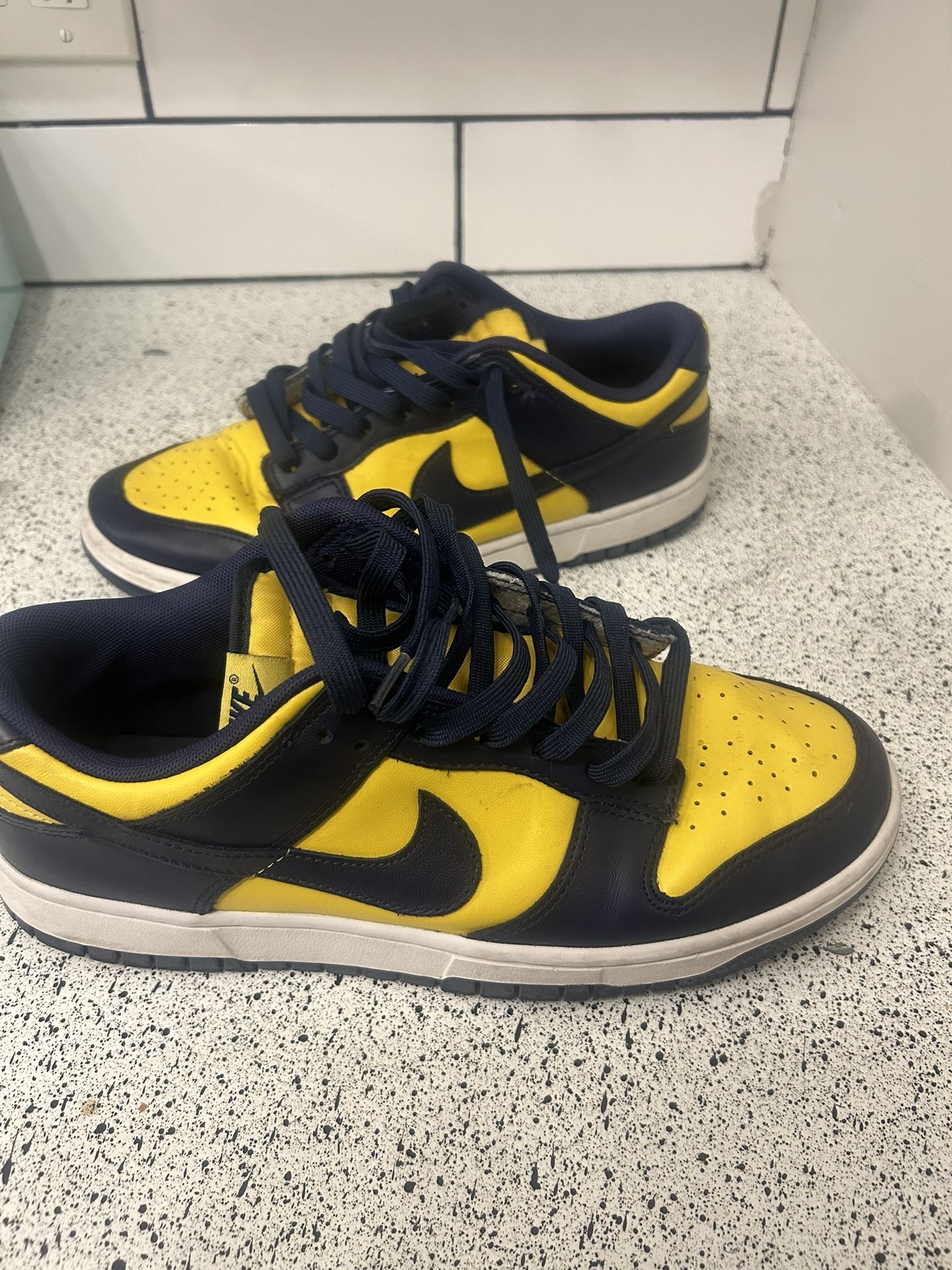 Nike Dunk Michigan Size 10