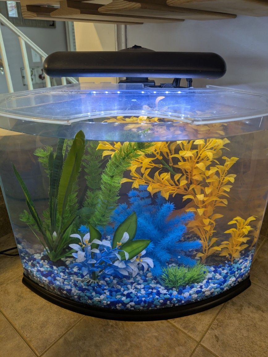 Aquarium Total Set Up