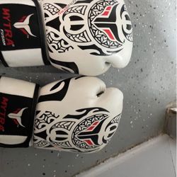 Boxing Gloves 