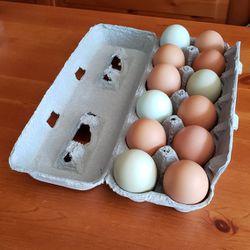 Free Range Chicken Eggs