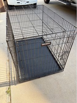 Large dog crate