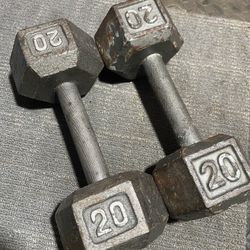 Pair Of 20 Lb Dumbbells 