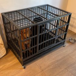 Dog Crate 
