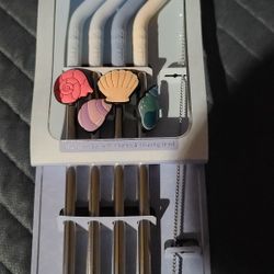 Stainless Steel Straws