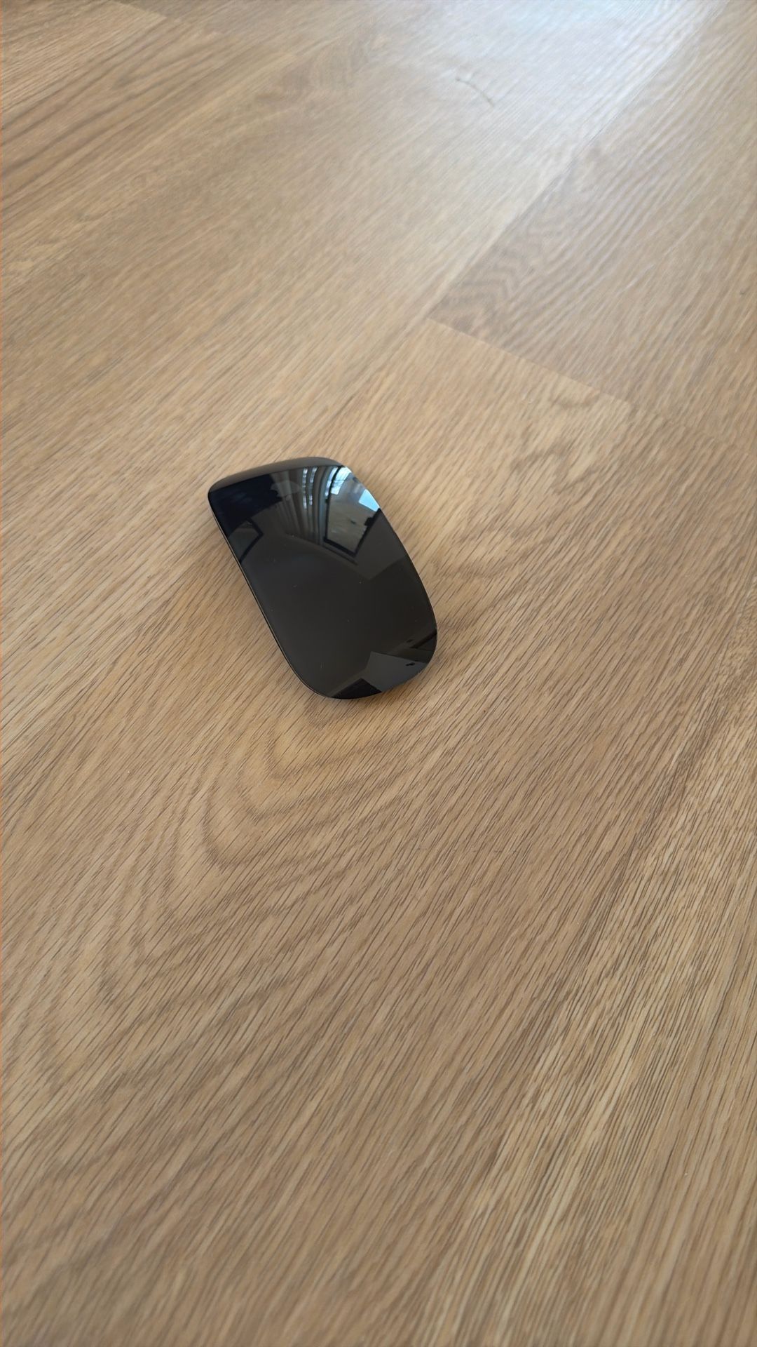 Apple - Magic Mouse - Multi-Touch Surface (Lightning Port)