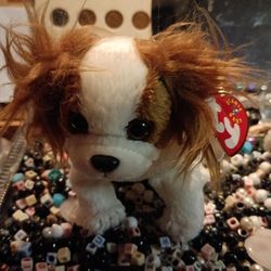 Ty Beanie Baby Regal The 🐕 Dog For Sale.