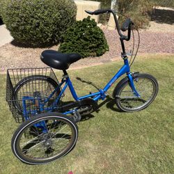 Adult 3 Wheel Bike