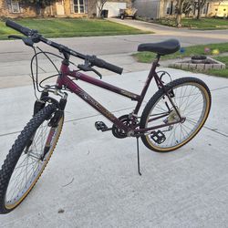 Roadmaster MTN Sport SX bike