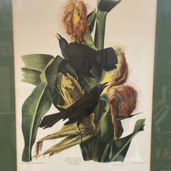 framed Art Bird 