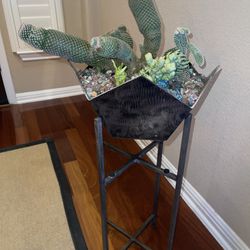 Cactus succulents Display in custom made metal planter with Metal stands we