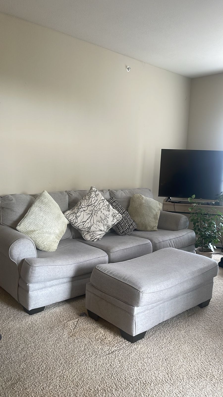 Couch with Pull-out Bed and ottoman