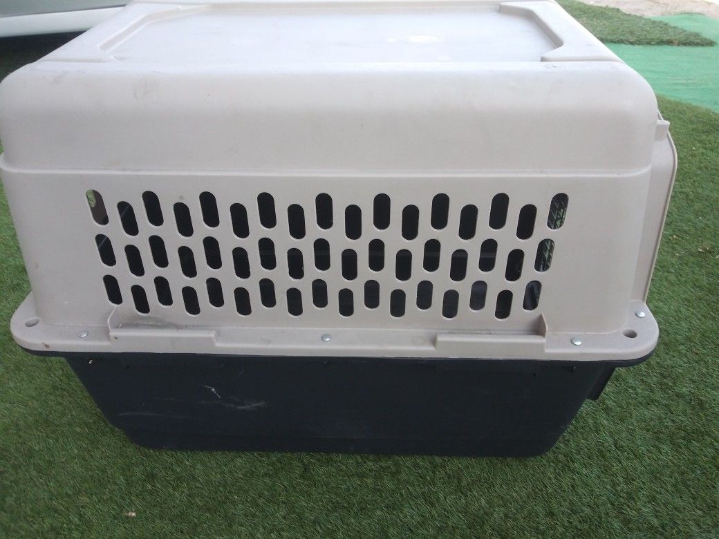 Portable dog kennel