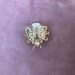 Ladybug/ Moth Brooch