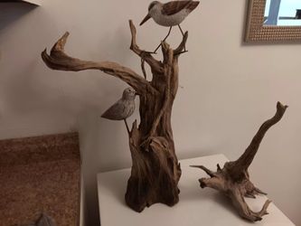 Driftwood Art