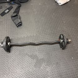Ez Curl Bar With 95 Lbs Weight