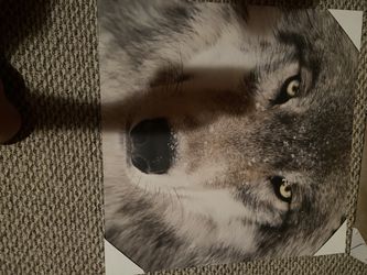 Different Paintings Of Animals