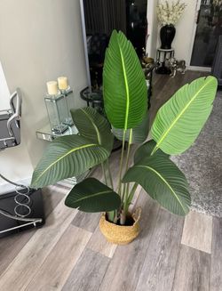 Pretty artificial plant 4 ft tall! Brand new
