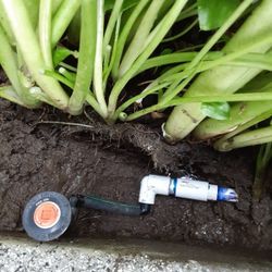 Irrigation Valves And Sprinklers 