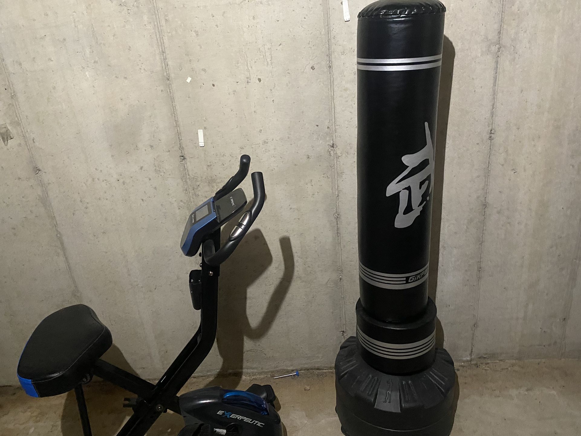 Used exercise bike And Kicking/Punching Bag