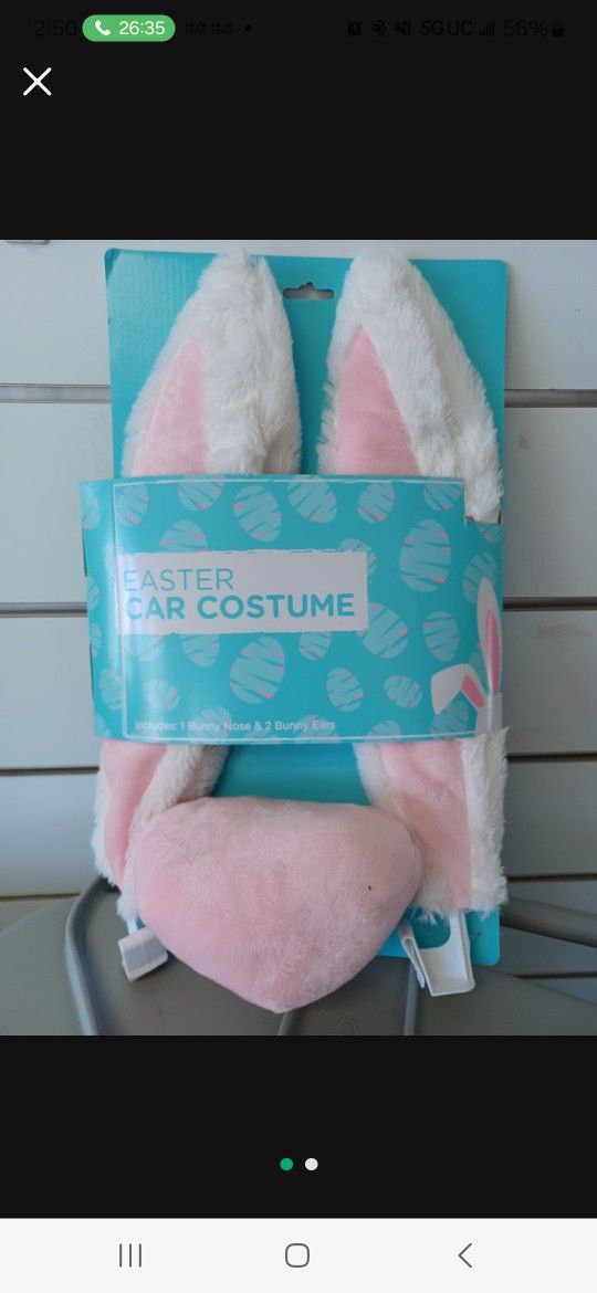 Easter π° Bunny Car Decoration.!!