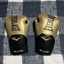 Everlast Boxing Gloves