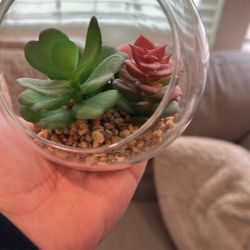 Little Fake Plant In Glass