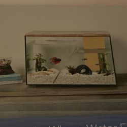 Water For Fish Tank Double Sided