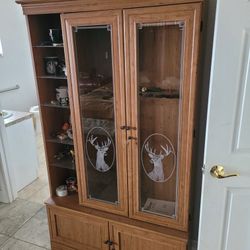 Gun And Display Cabinet