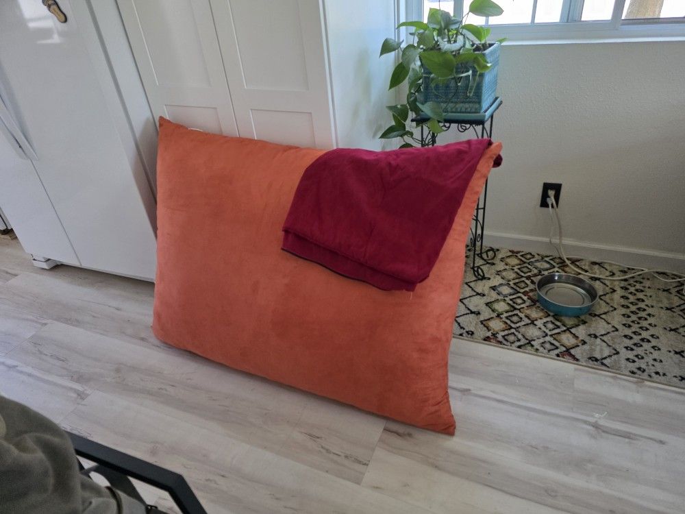 Jaxx Foam Floor Pillow 