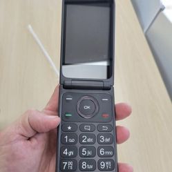 FLIP PHONE LIKE New $50
