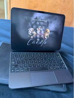 iPad Pro 11” M4