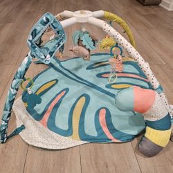 Infantino Foldable Activity  Play Gym Used Only Couple Times