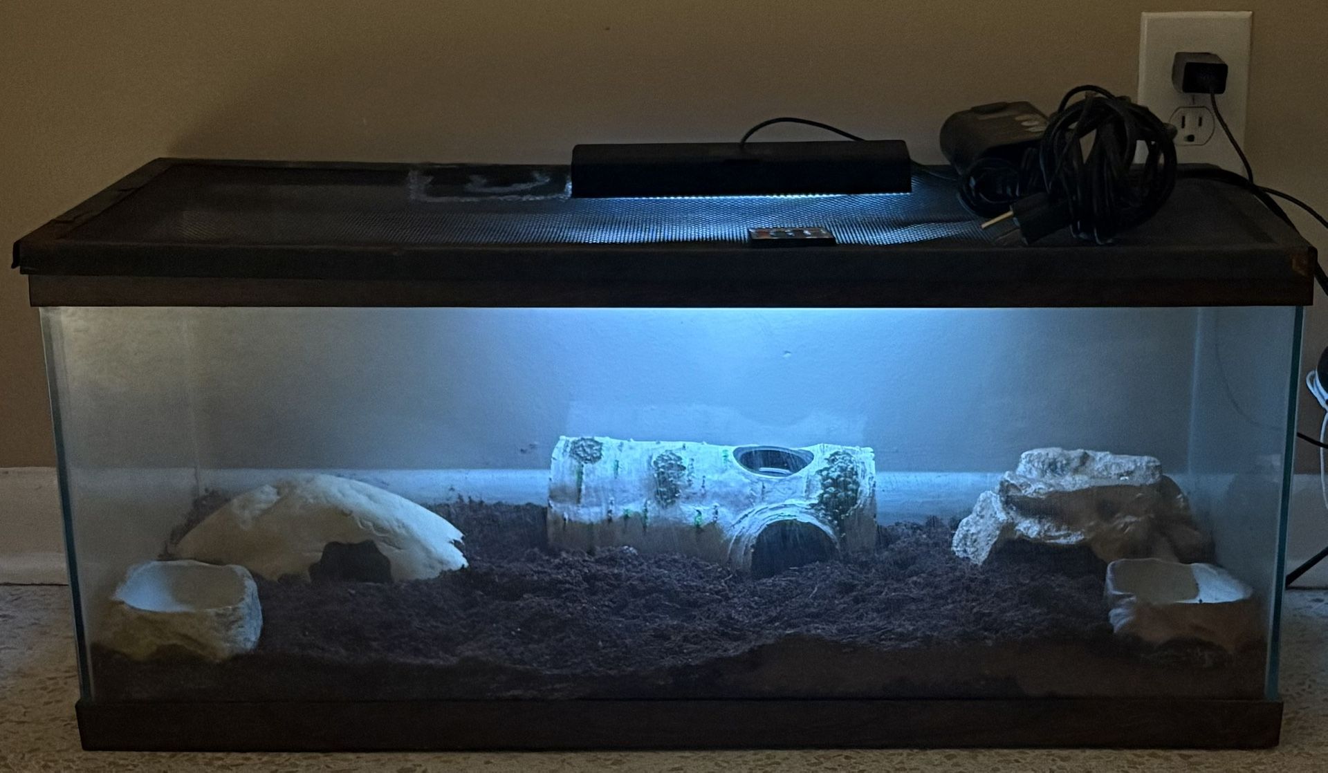 20 Gallon Long Reptile Tank
