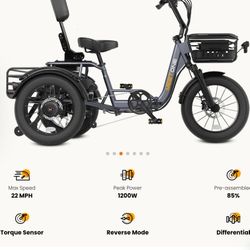 Meet One Breeze Pro Fat Tire Electric Trike 1200 Watts Max